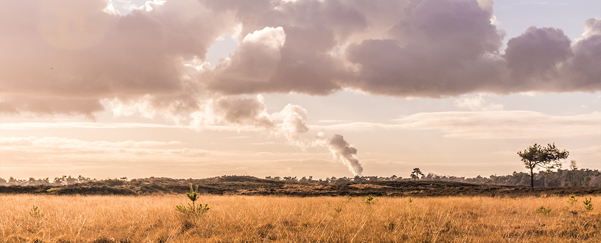 环保行动丨浪声助力大气污染防治工作！