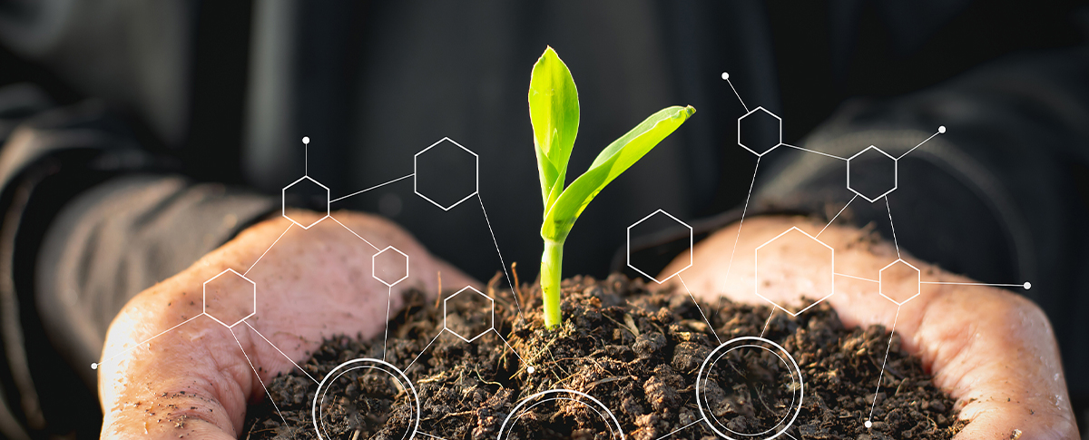 XRF技术在土壤重金属检测中的应用（二）—应用案例