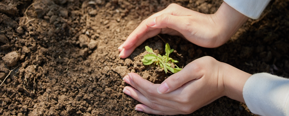 精准数据让样品说话，土壤三普这样检！