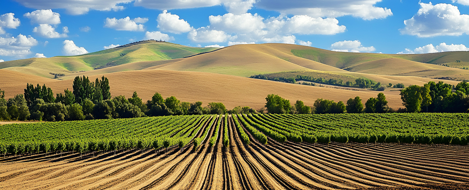 TXRF在土壤硒检测中的应用