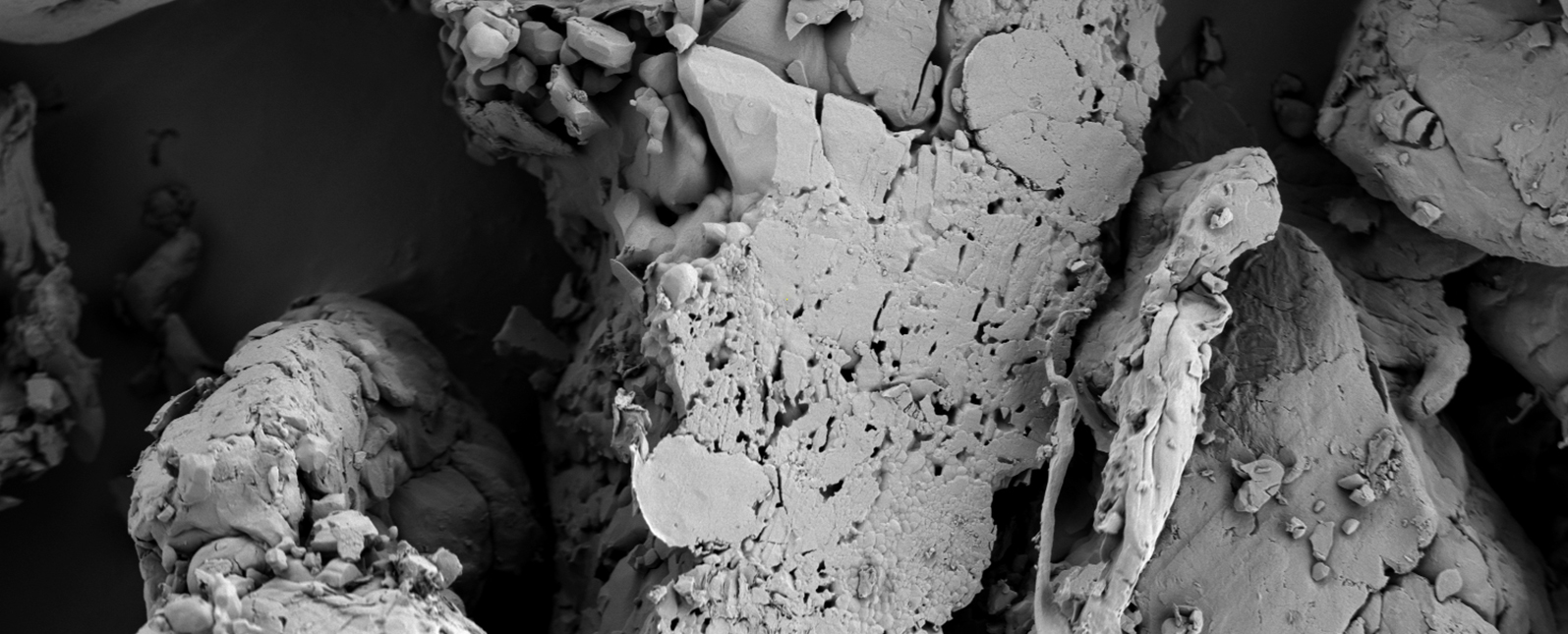 扫描电镜在药品研发与质量控制中的应用