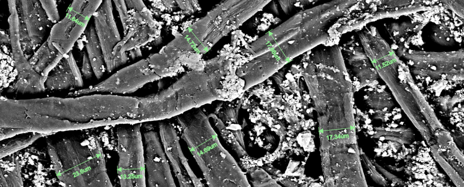 扫描电镜在造纸工业中的综合应用