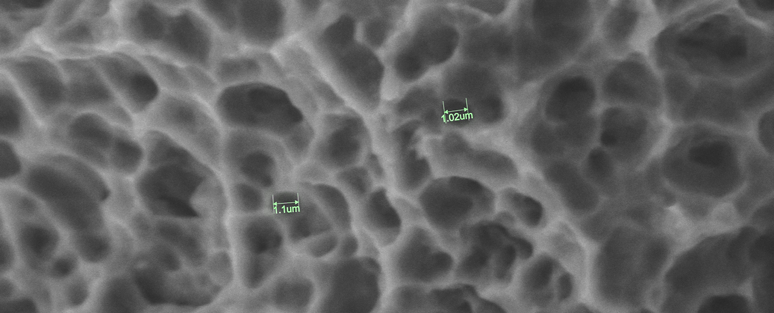 SuperSEM N10eX 在牙科种植体微观检测中的应用