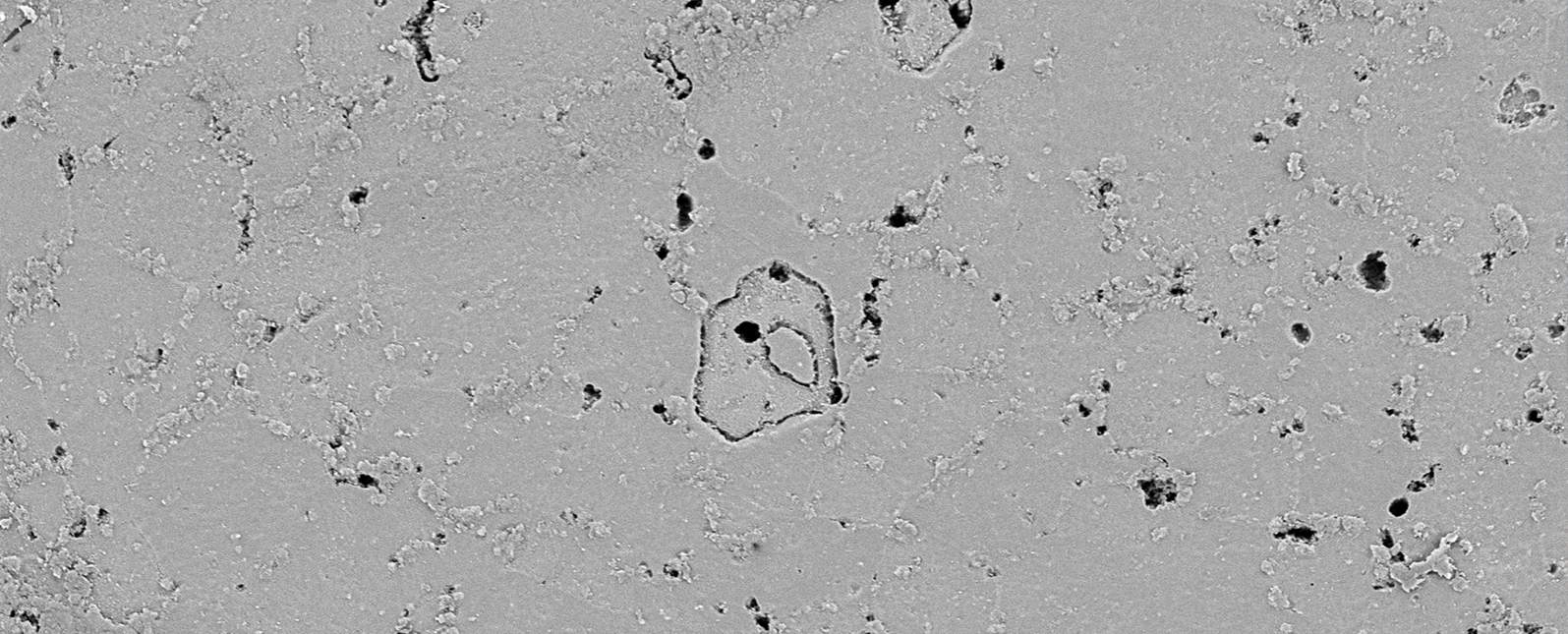 SuperSEM N10桌面式扫描电镜在铝合金夹杂物中的应用