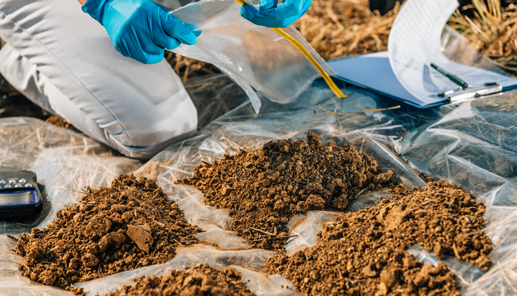 SHINE(土壤版)(图1)