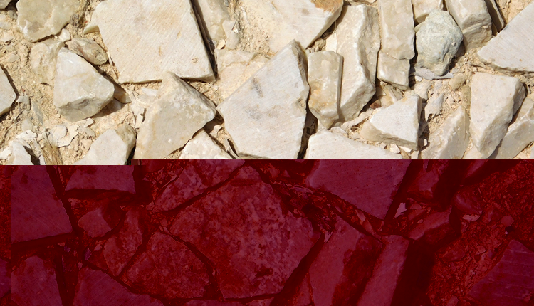 SHINE(土壤版)(图4)