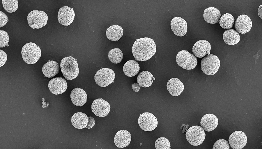 SuperSEM桌面式多功能实时能谱扫描电镜(图5)