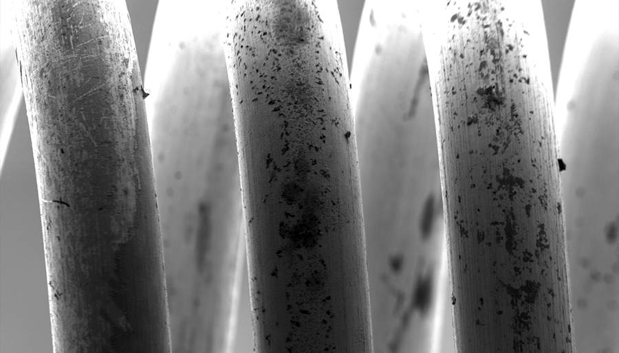 SuperSEM桌面式多功能实时能谱扫描电镜(图2)