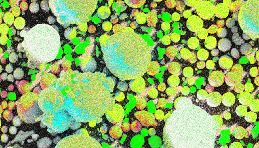 SuperSEM桌面式多功能实时能谱扫描电镜(图1)