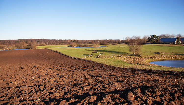 LIBS 3000在线激光诱导击穿光谱仪(图5)