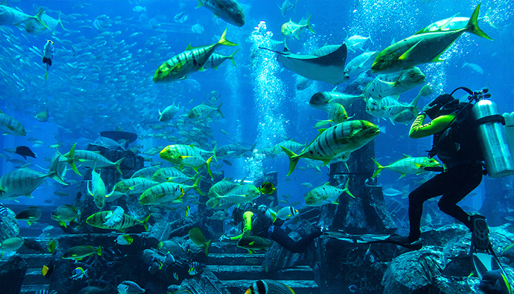 IP68便携式水下多元素检测仪(图3)