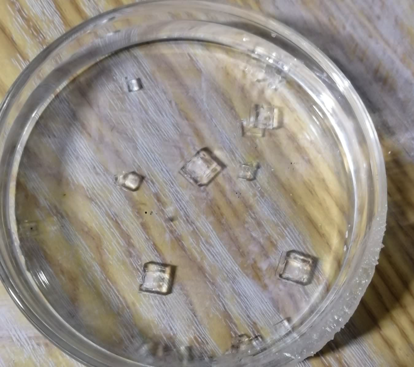 扫描电镜在药品研发与质量控制中的应用(图4)