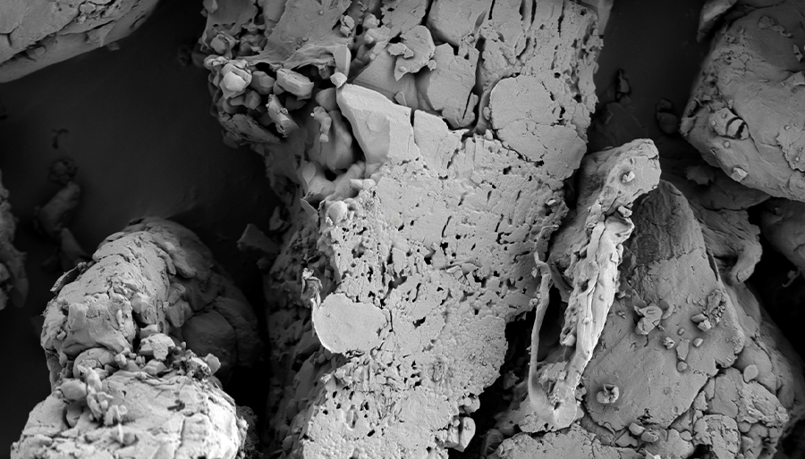 SuperSEM桌面式多功能实时能谱扫描电镜(图1)