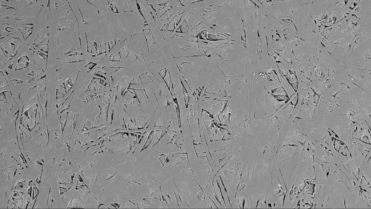 扫描电镜在造纸工业中的综合应用(图3)