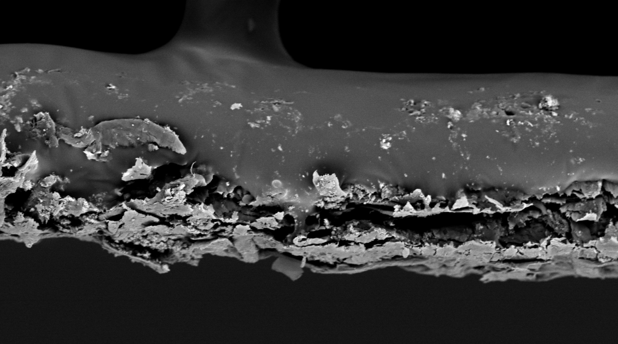 扫描电镜在造纸工业中的综合应用(图8)