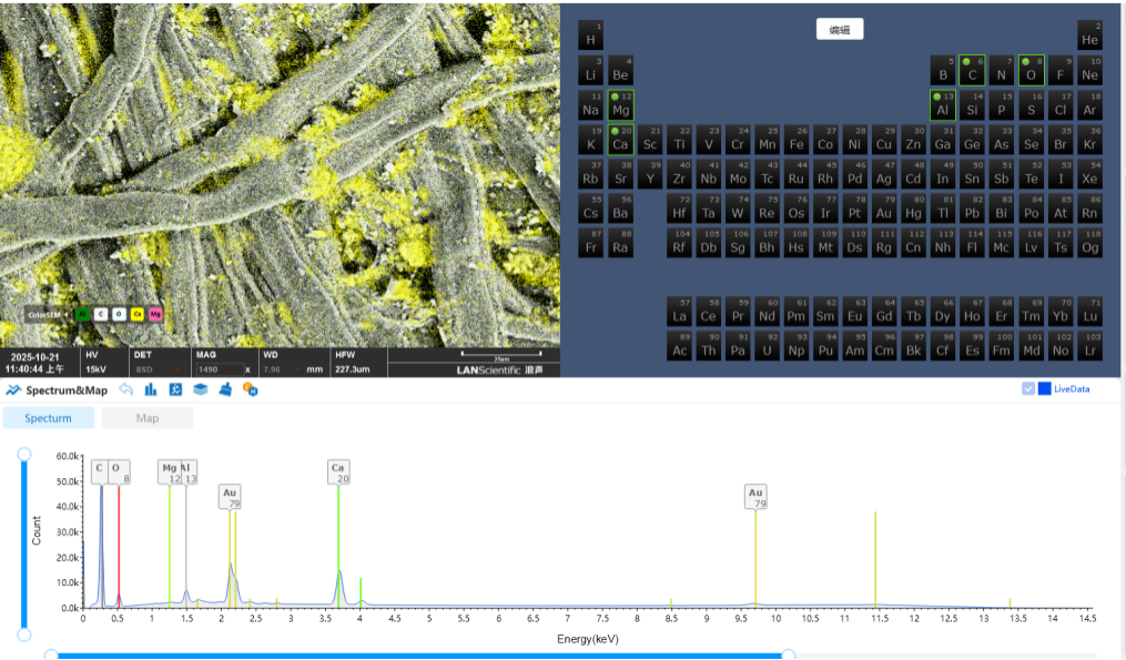 扫描电镜在造纸工业中的综合应用(图9)