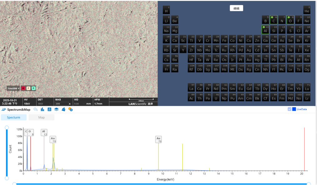 扫描电镜在造纸工业中的综合应用(图11)