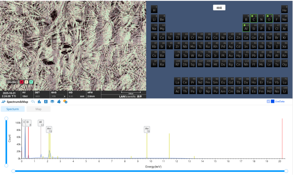 扫描电镜在造纸工业中的综合应用(图13)