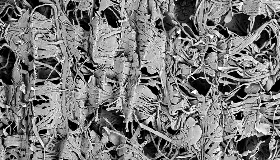 SuperSEM N10桌面式扫描电镜(图3)