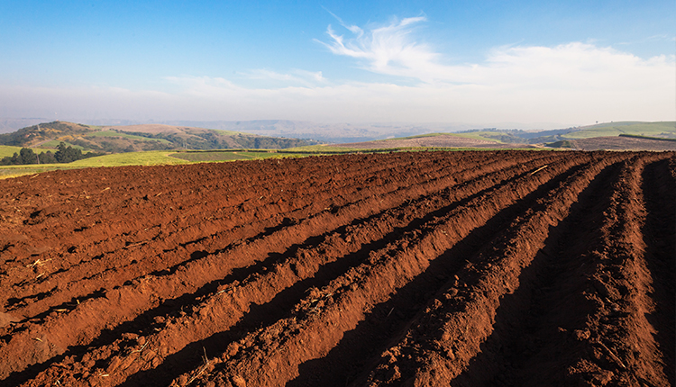 ROCKSY上照式真空型X荧光光谱仪(图6)